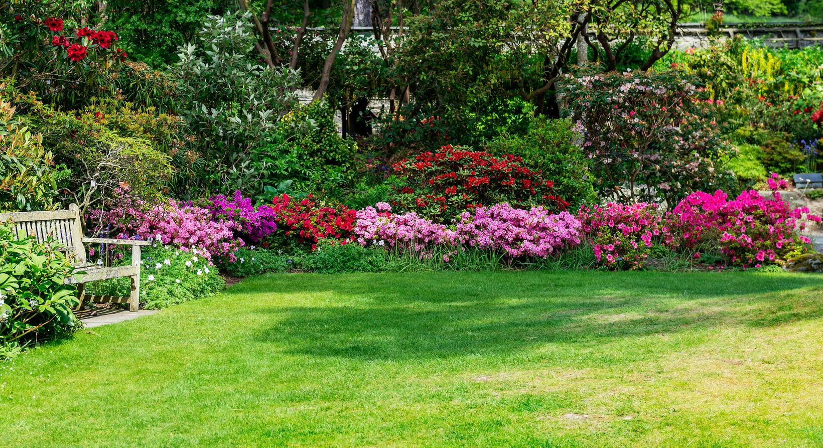 Parkbänke stehen vor einer üppigen Blumenkulisse mit Bäumen im Hintergrund
